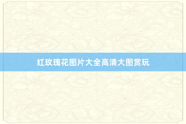 红玫瑰花图片大全高清大图赏玩