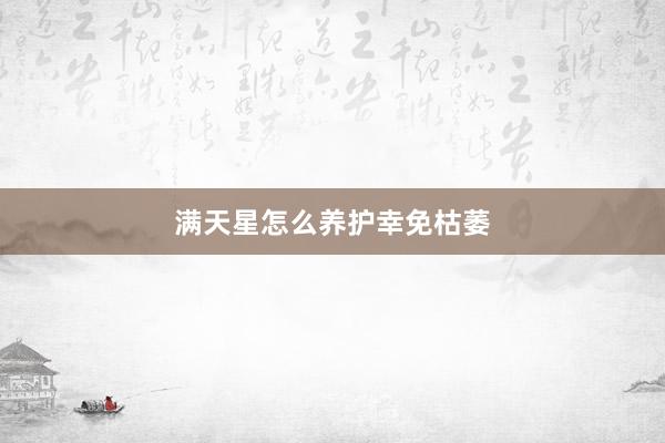 满天星怎么养护幸免枯萎