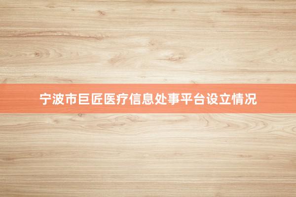 宁波市巨匠医疗信息处事平台设立情况