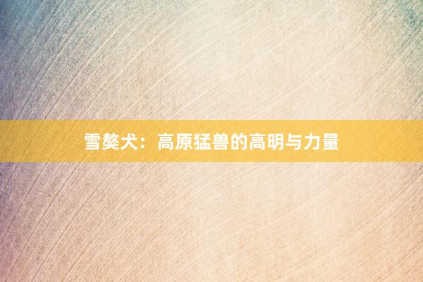 雪獒犬：高原猛兽的高明与力量