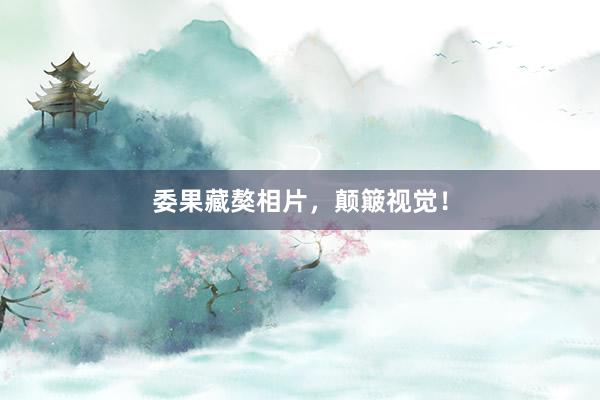 委果藏獒相片,颠簸视觉!